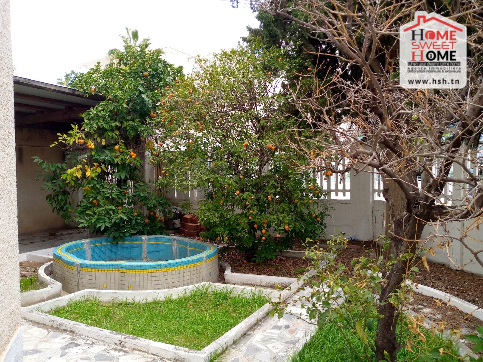 Sidi El Bechir&nbsp;Monfleury&nbsp;Vente&nbsp;Appart. 5 pi�ces+&nbsp;Immeuble eliza � montfleury