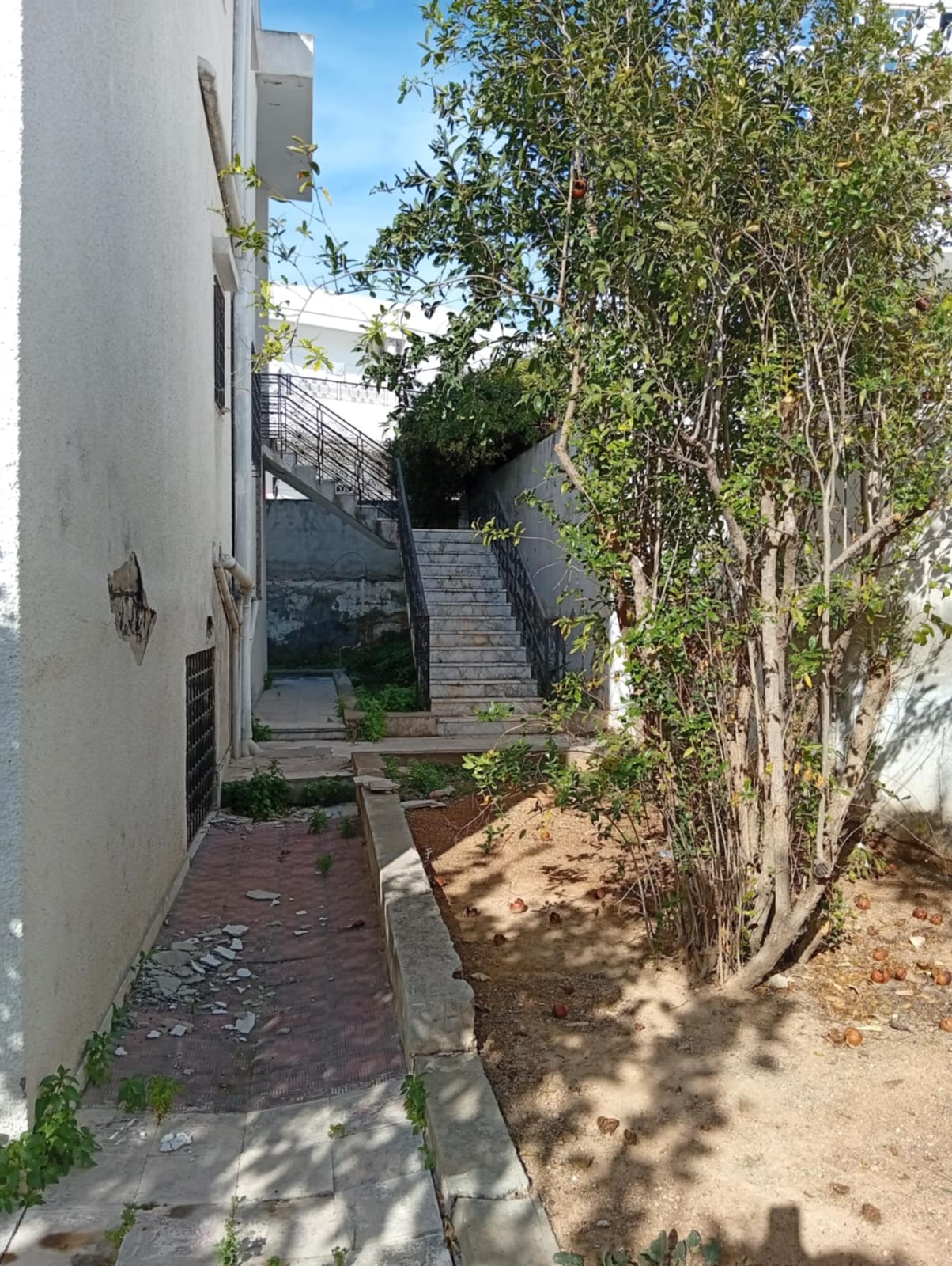 Ariana Ville&nbsp;El Menzah 8&nbsp;Vente&nbsp;Maisons&nbsp;Une villa � retaper ou � d�molir � menzah8