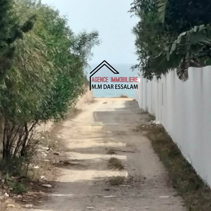 Kelibia Kerkouane Vente Maisons Maison inachev prs de la mer