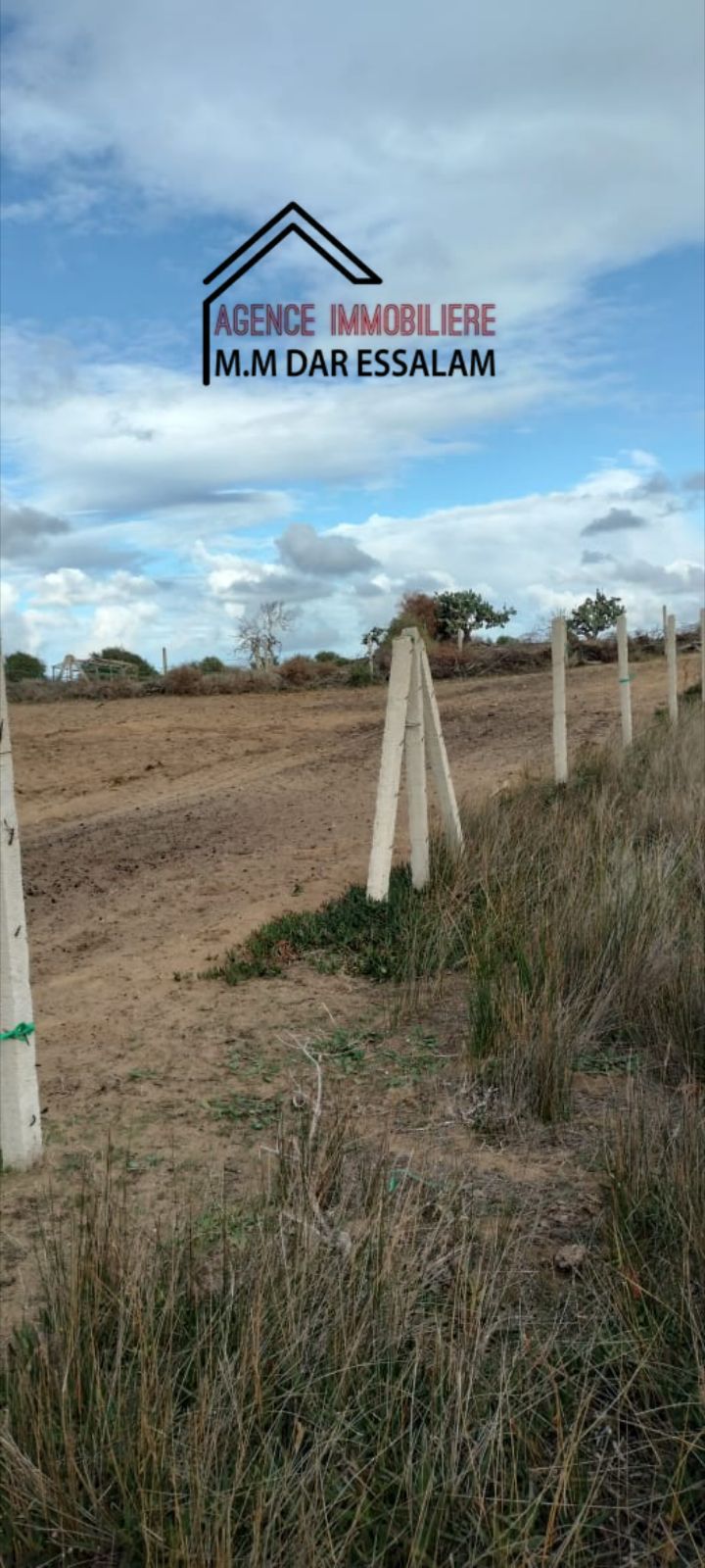 El Haouaria&nbsp;Bir El Jedey&nbsp;Terrain&nbsp;Terrain agricole&nbsp;Terrain pr�s de la plage