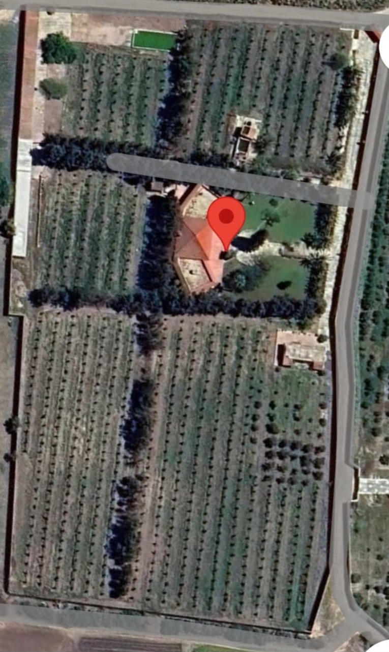 Soliman El Marja Vente Surfaces Ferme de charme