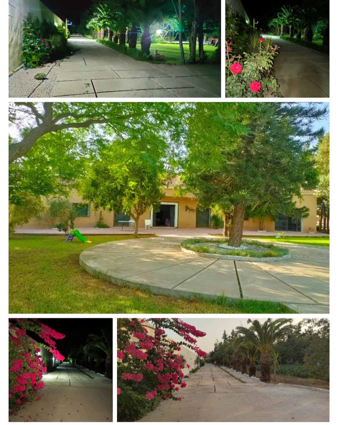 Soliman El Marja Vente Surfaces Ferme de charme