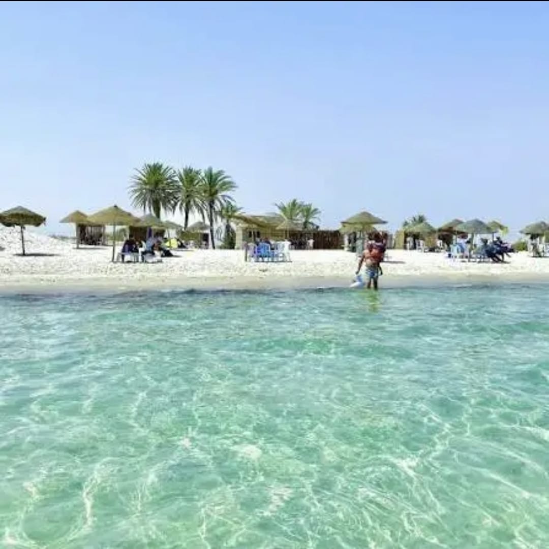 Hammam Sousse El Kantaoui Vente Appart. 1 pice Appartement s1 pratique