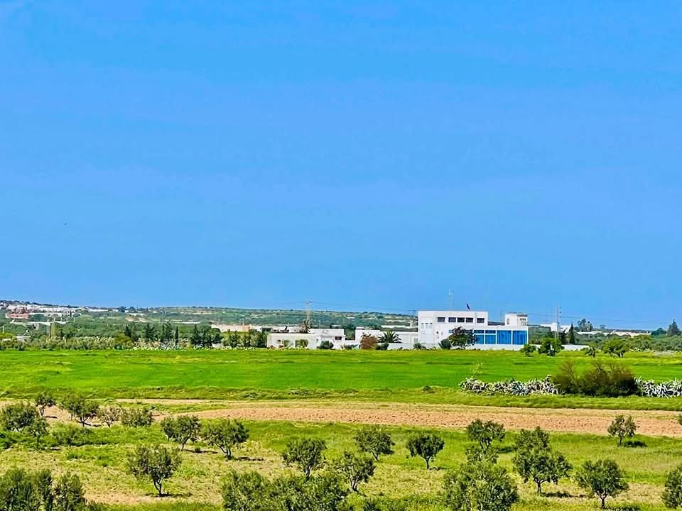 Vente&nbsp;Surfaces - Tunisie