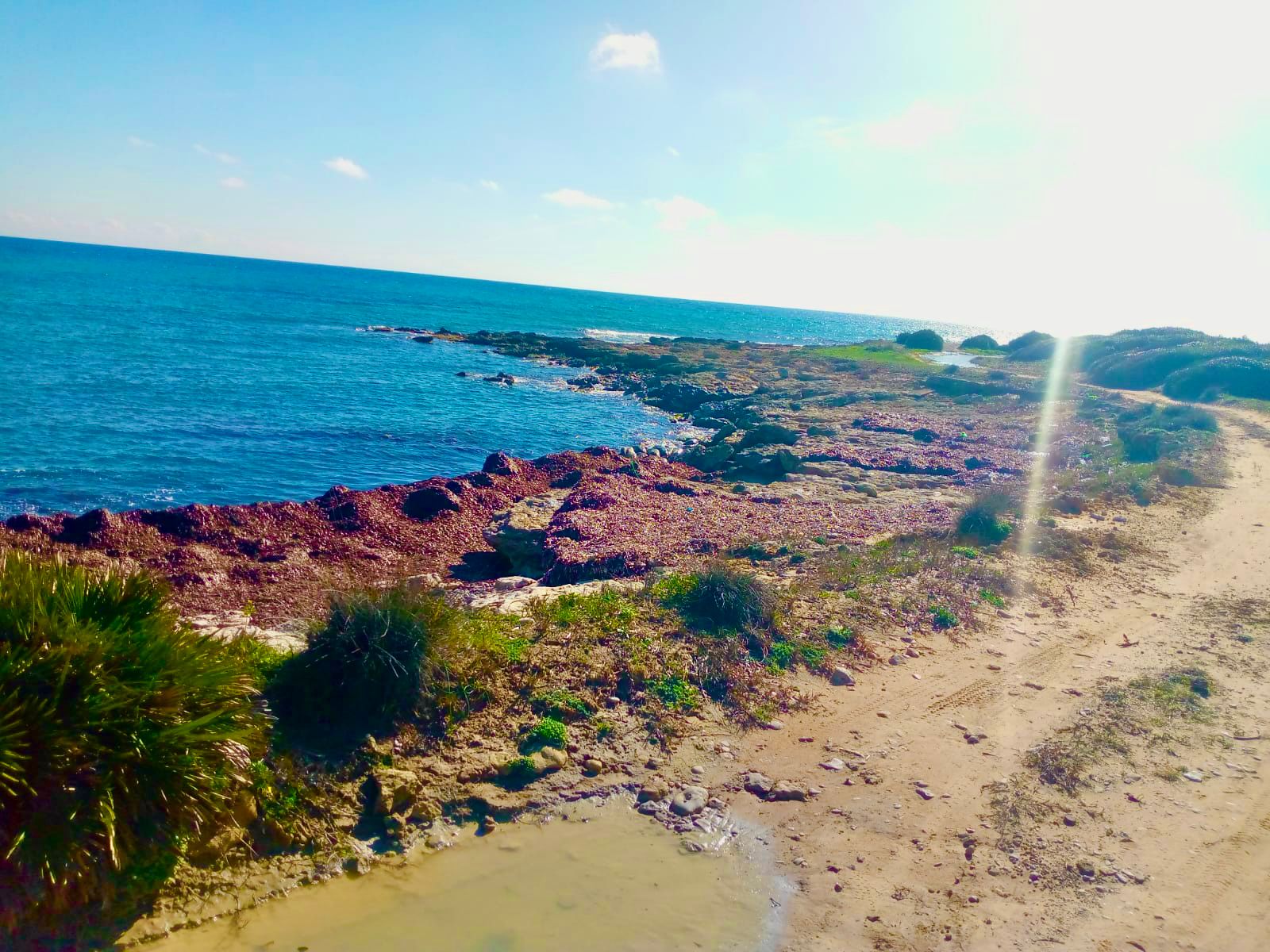 Kelibia&nbsp;Kerkouane&nbsp;Vente&nbsp;Surfaces&nbsp;Terrain � klibia