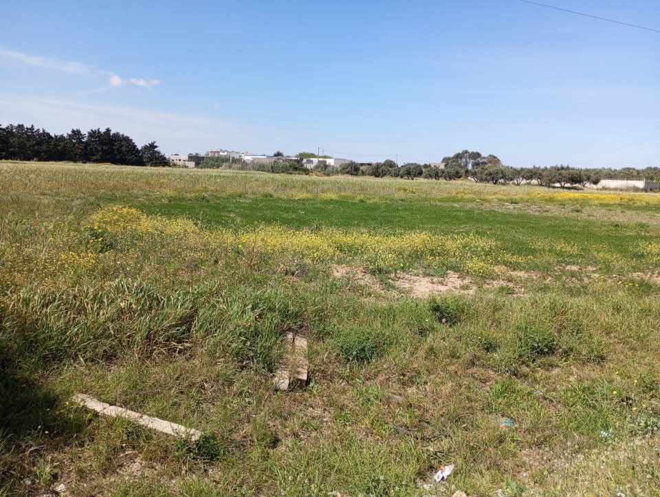 Vente&nbsp;Surfaces - Tunisie