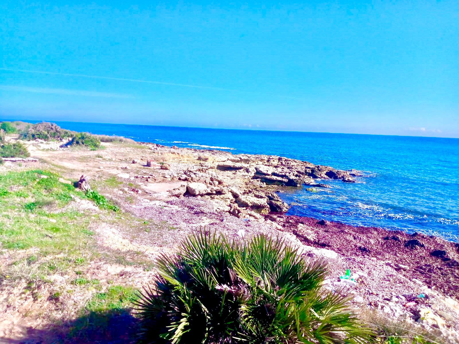 Kelibia&nbsp;Kerkouane&nbsp;Vente&nbsp;Surfaces&nbsp;Terrain � klibia kerkouane