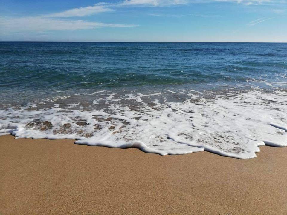 Vente&nbsp;Surfaces - Tunisie