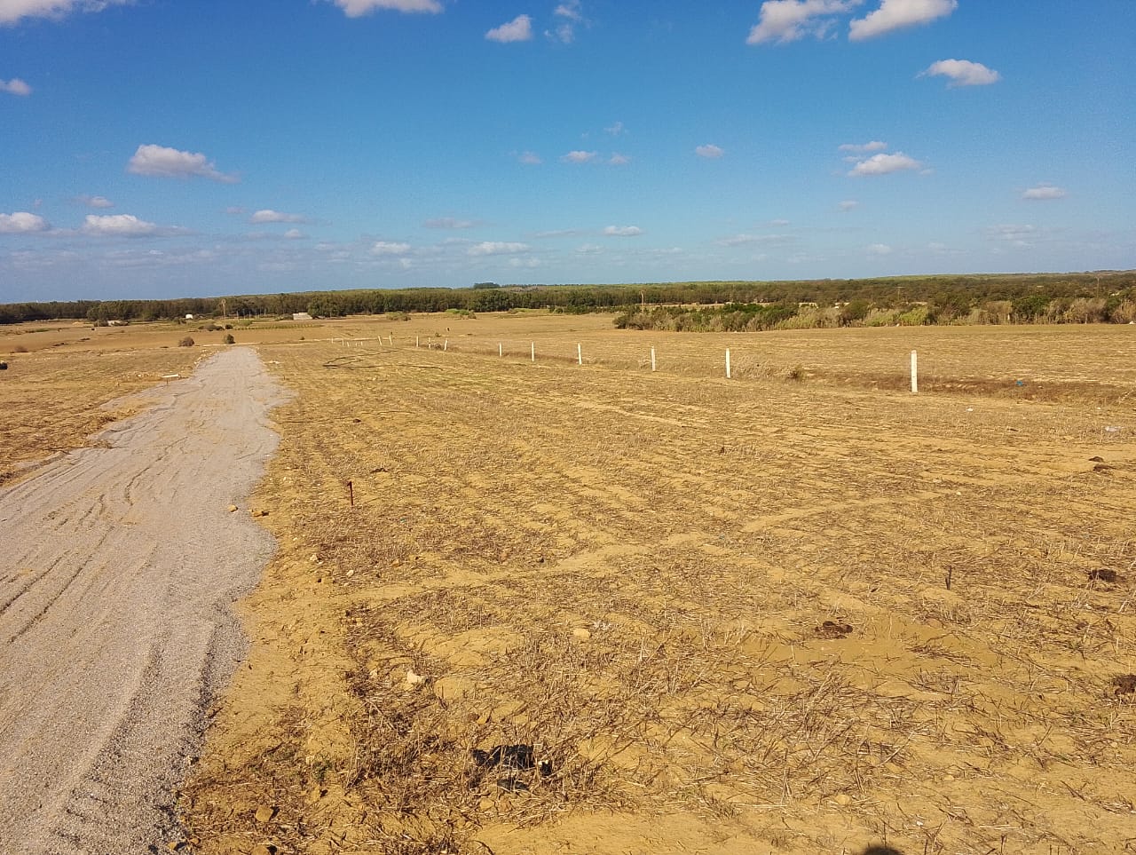 Kelibia&nbsp;Azmour&nbsp;Vente&nbsp;Surfaces&nbsp;Terrain id�al  � azmour