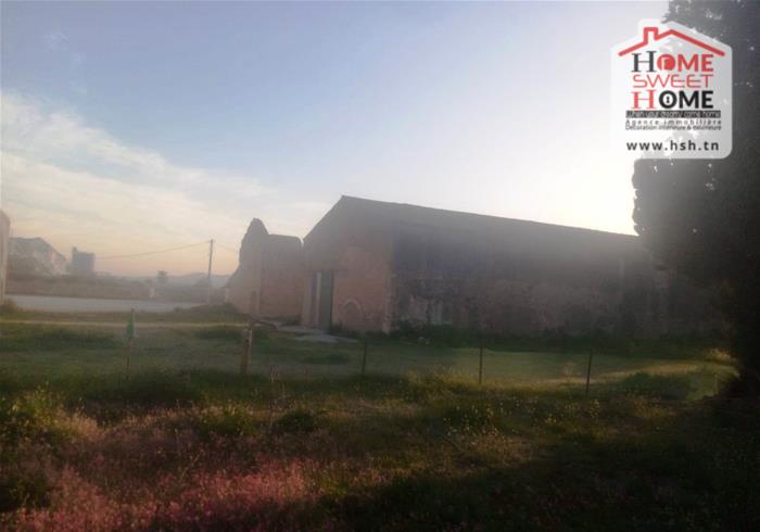 Mornag&nbsp;Mornag&nbsp;Vente&nbsp;Autre&nbsp;D�p�t belha � mornag