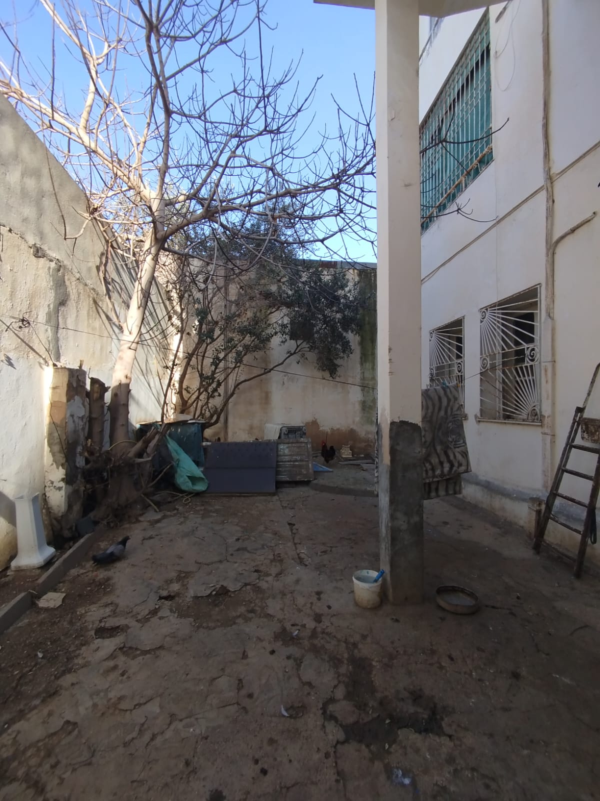 Sidi El Bechir&nbsp;Monfleury&nbsp;Vente&nbsp;Appart. 5 pi�ces+&nbsp;Un rdc de villa s4 avec un studio � monfleury