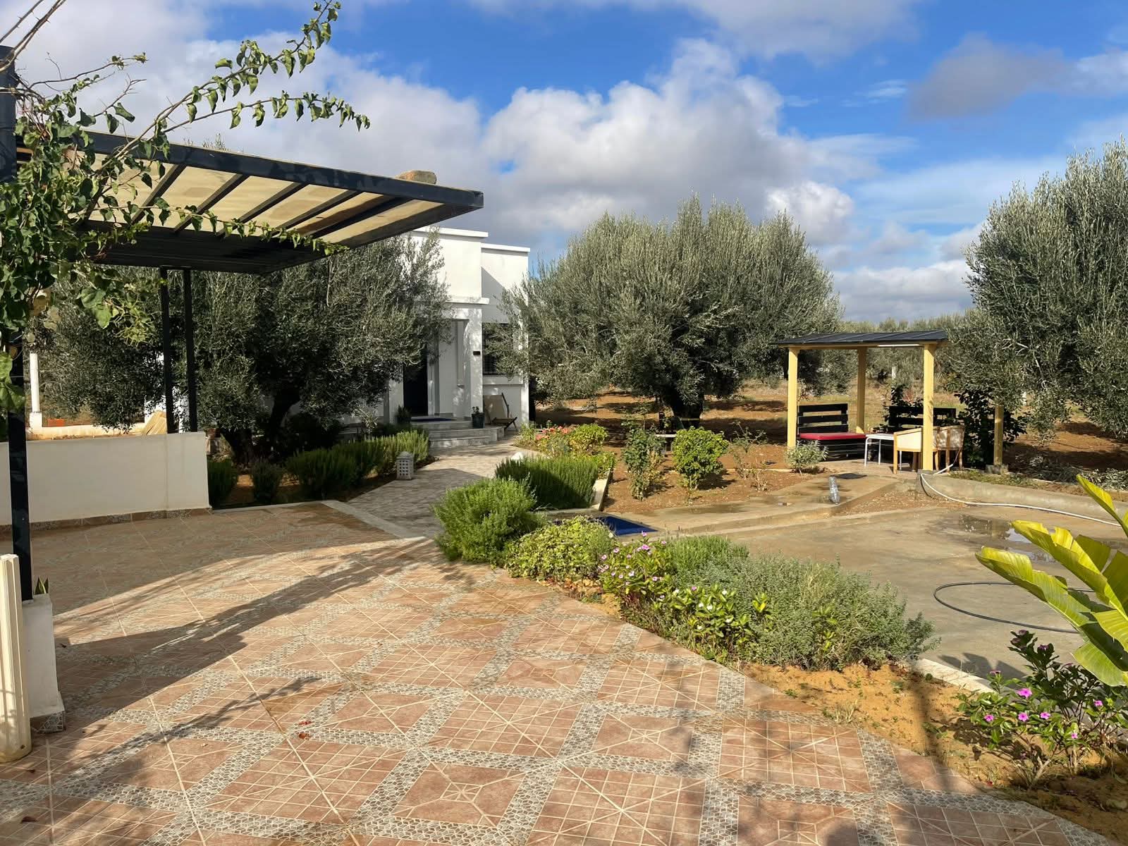 Hammamet&nbsp;Hammamet&nbsp;Vente&nbsp;Surfaces&nbsp;A ne pas rater