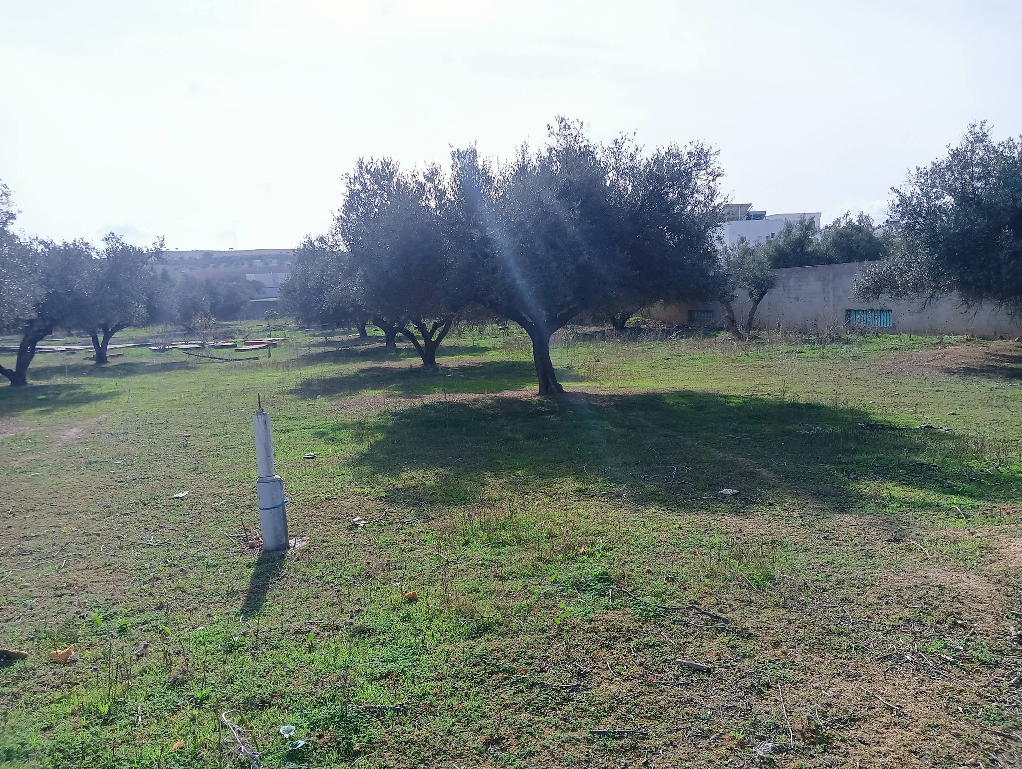 Ariana Ville&nbsp;Riadh Landlous&nbsp;Terrain&nbsp;Terrain nu&nbsp;Terrain zone ennahli route bizerte