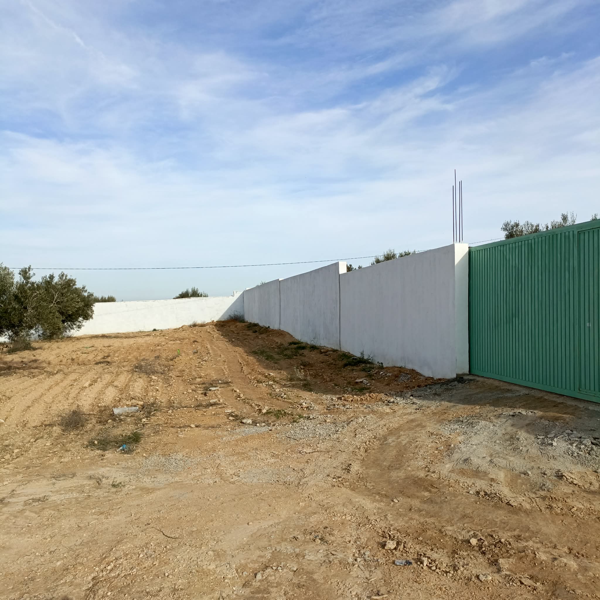 Hammamet&nbsp;Hammamet&nbsp;Terrain&nbsp;Terrain nu&nbsp;Av beau terrain de 600m  proche hammamet yasmine