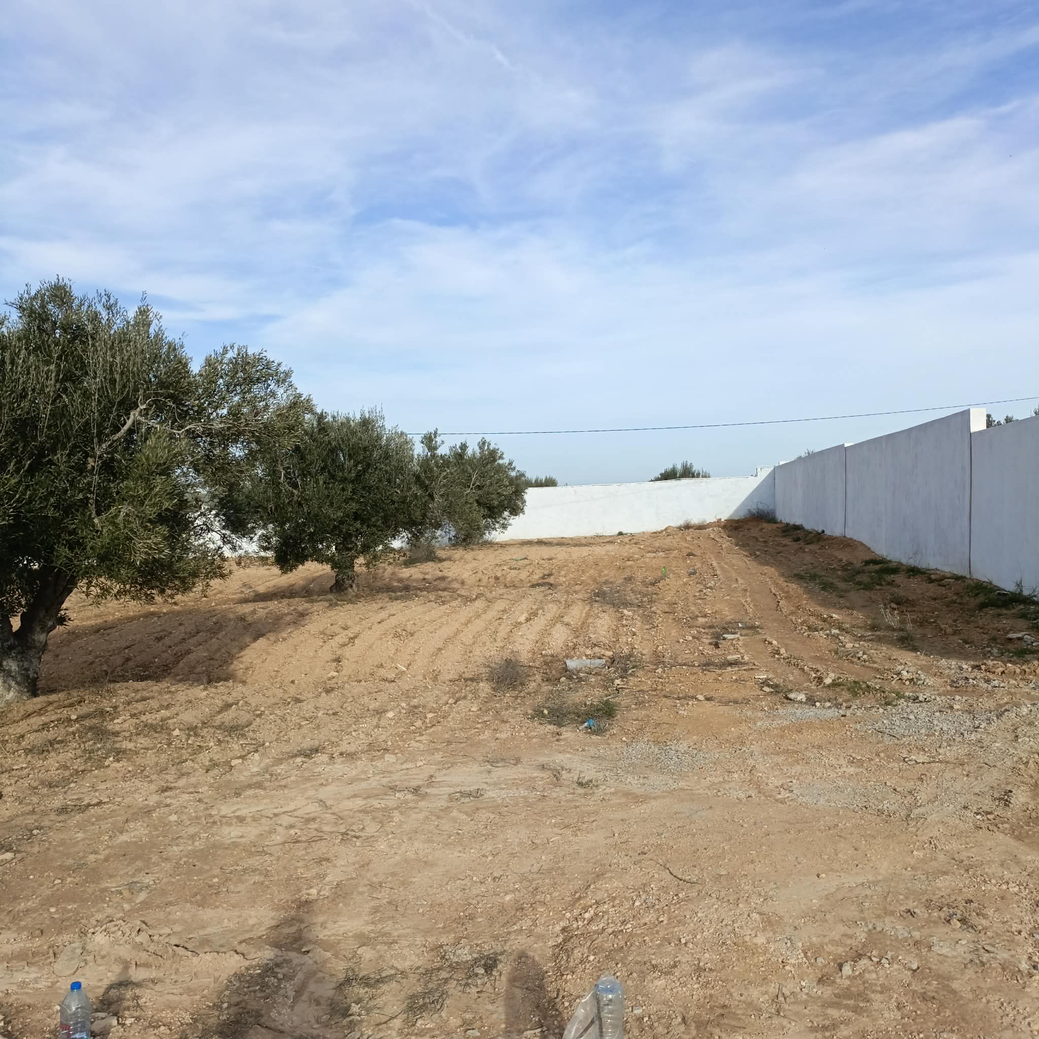 Hammamet&nbsp;Hammamet&nbsp;Terrain&nbsp;Terrain nu&nbsp;Av beau terrain de 600m  proche hammamet yasmine