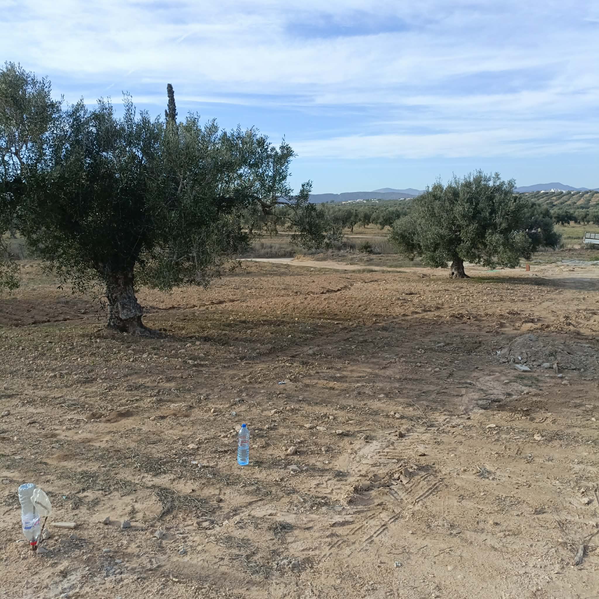 Hammamet&nbsp;Hammamet&nbsp;Terrain&nbsp;Terrain nu&nbsp;Av beau terrain de 600m  proche hammamet yasmine