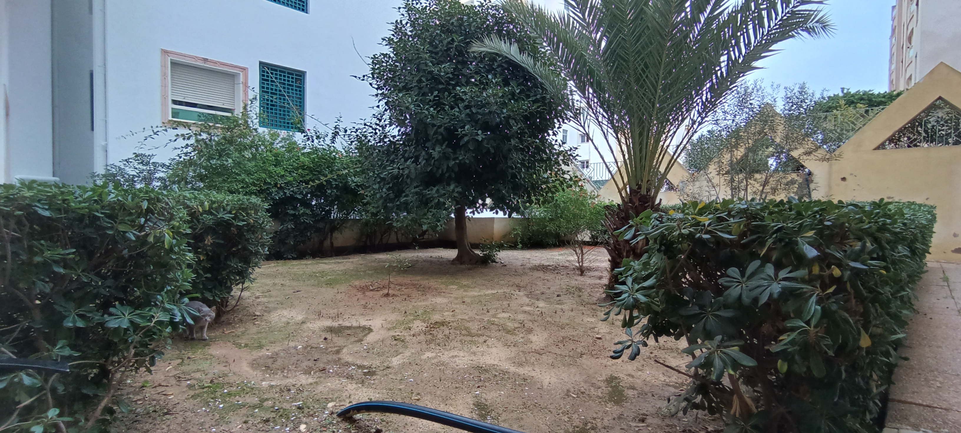 Ariana Ville&nbsp;Cite Ennasr 2&nbsp;Vente&nbsp;Appart. 4 pi�ces&nbsp;Appartement s3 rdc au ennasr 2