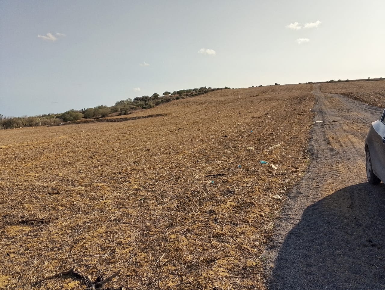 Kelibia&nbsp;Azmour&nbsp;Vente&nbsp;Surfaces&nbsp;Havre de paix � azmour