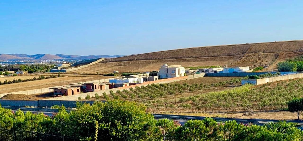 Sidi Thabet&nbsp;Sidi Thabet&nbsp;Vente&nbsp;Surfaces&nbsp;Terrain de prestige � sidi thabet