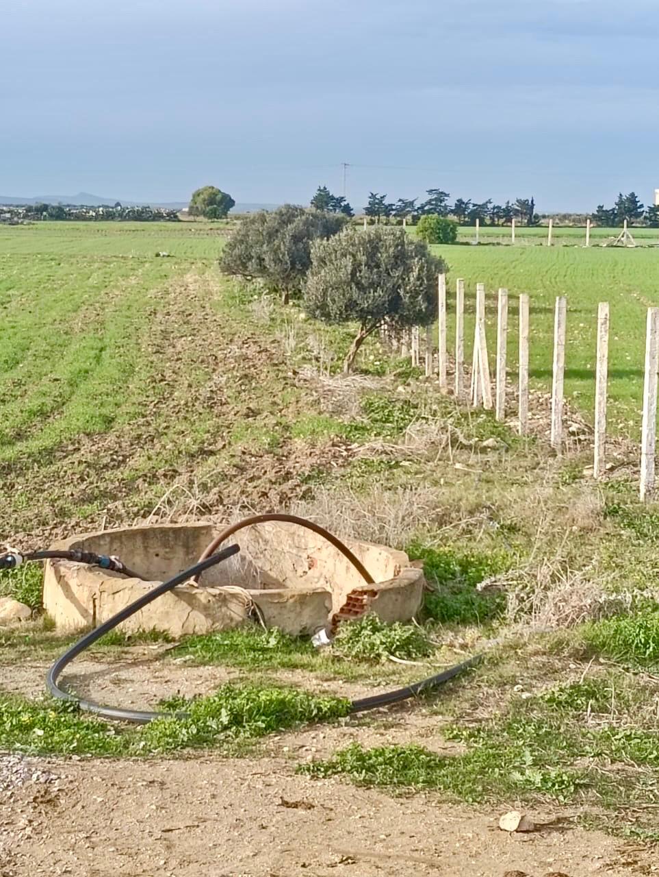 Kelibia&nbsp;Kelibia&nbsp;Vente&nbsp;Surfaces&nbsp;Rendpoint flouka k�libia