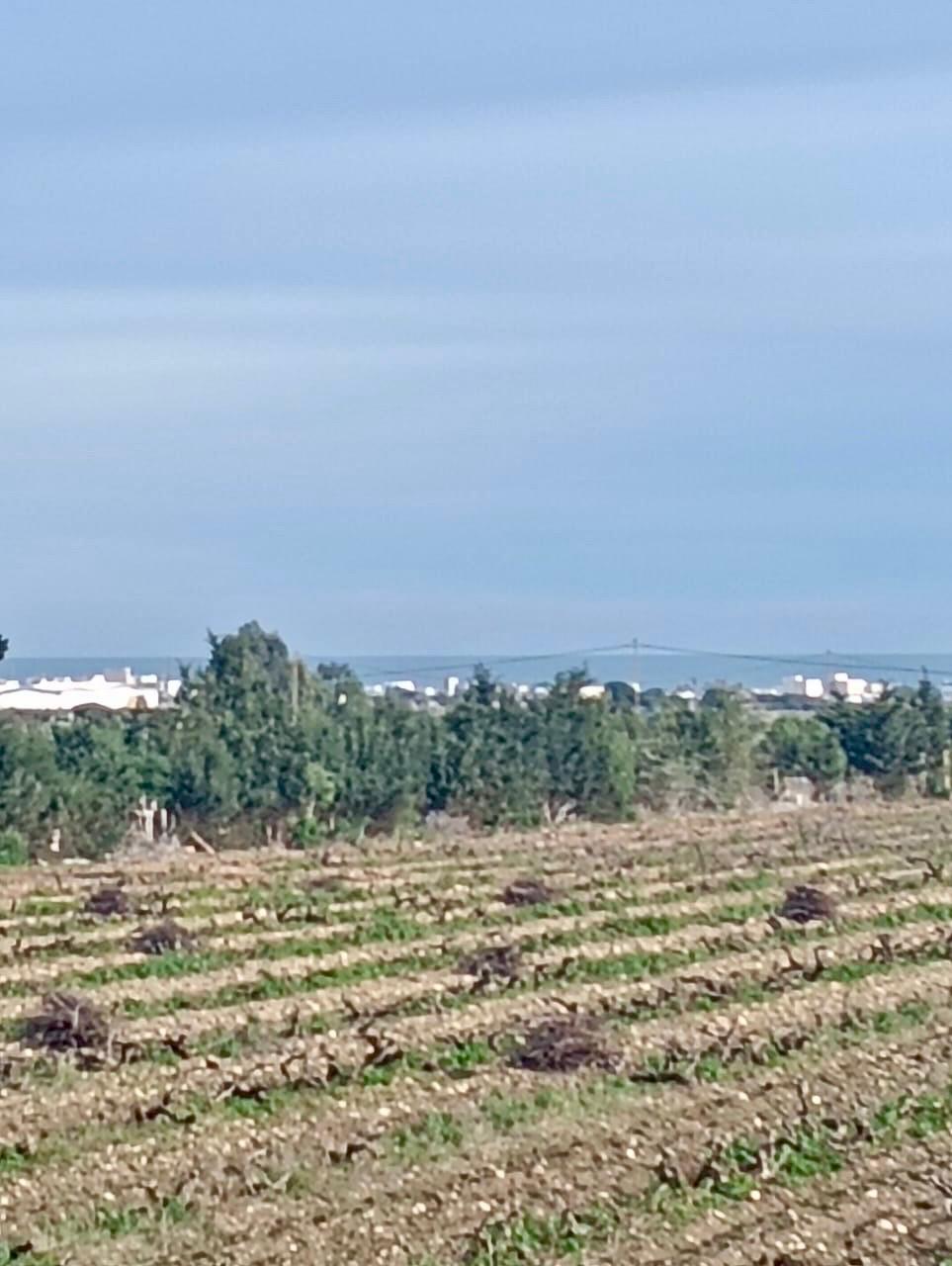 Kelibia&nbsp;Kelibia&nbsp;Vente&nbsp;Surfaces&nbsp;Du rondpoint la flouka