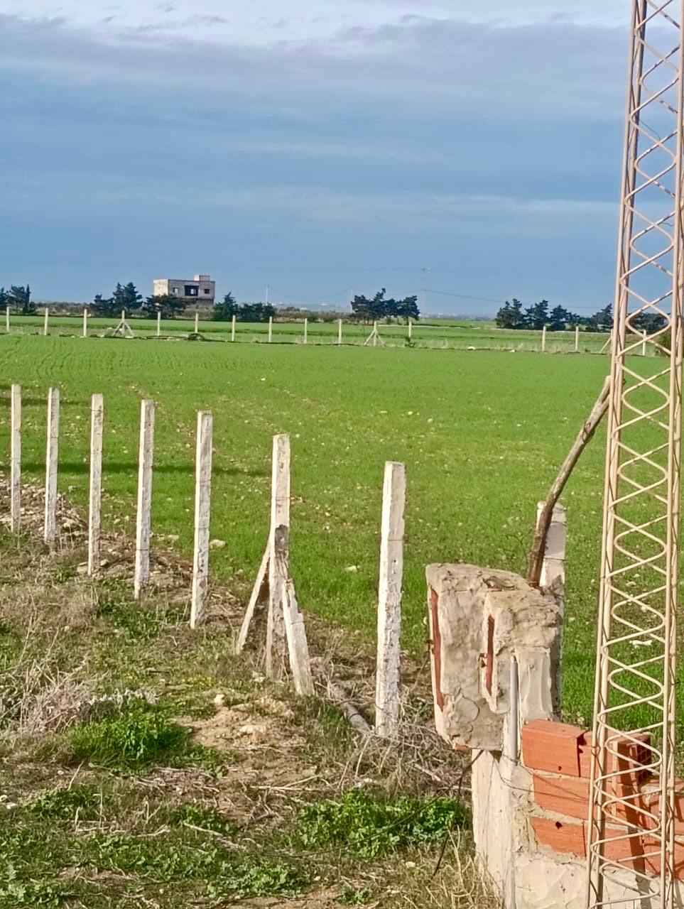 Vente&nbsp;Surfaces - Tunisie