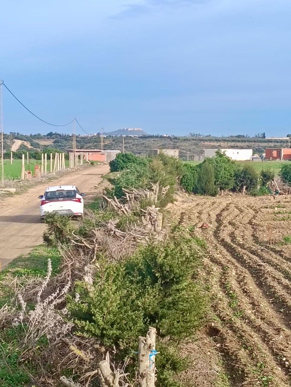 Kelibia&nbsp;Kelibia&nbsp;Vente&nbsp;Surfaces&nbsp;Promo � kilibia