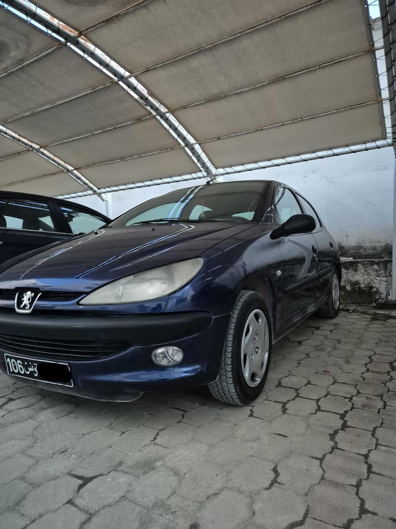 Ariana Ville&nbsp;Ariana&nbsp;Peugeot&nbsp;206&nbsp;206 tr�s bien maintenue