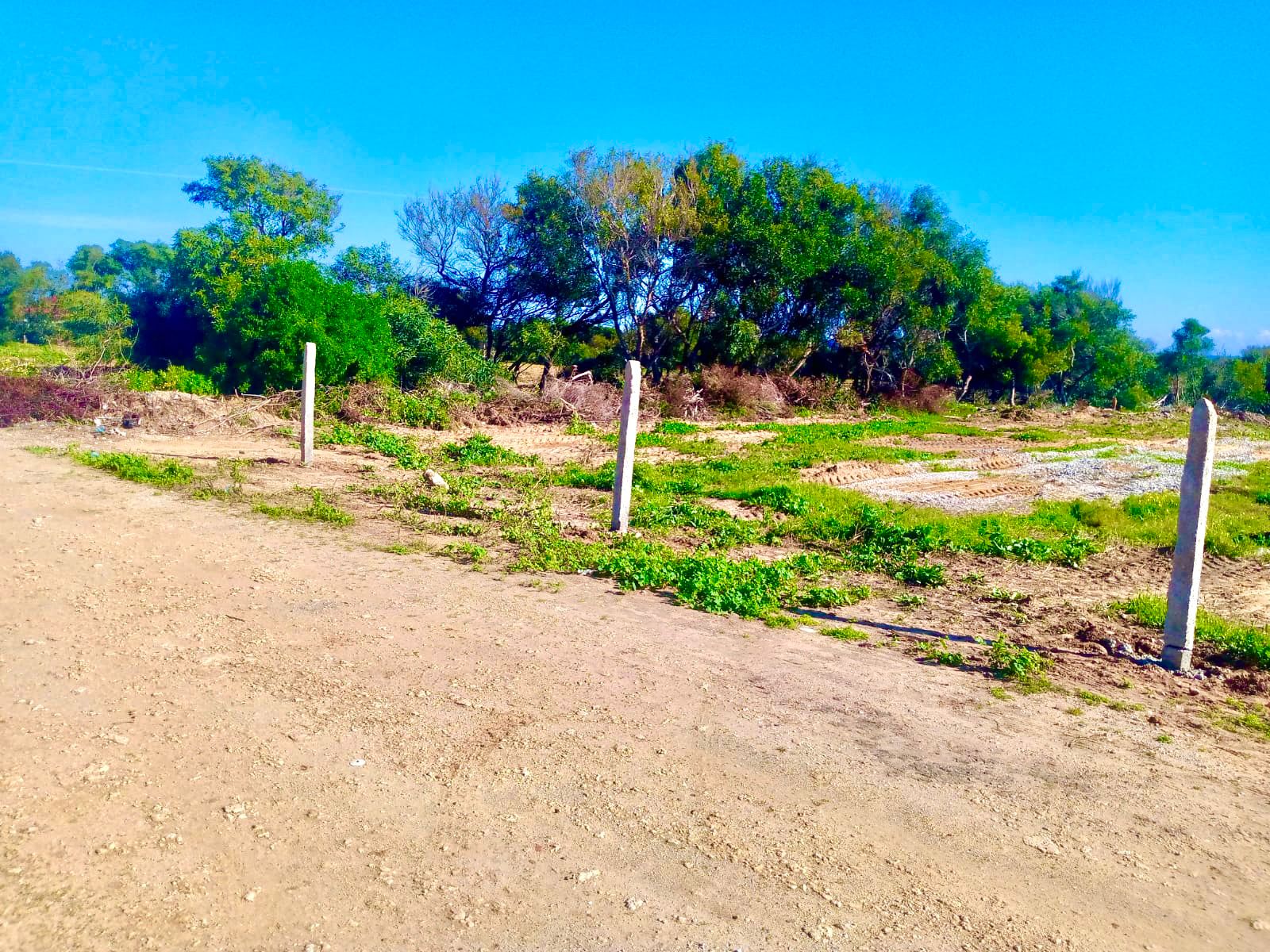 Kelibia&nbsp;Kerkouane&nbsp;Terrain&nbsp;Terrain nu&nbsp;Kerkouane offre special