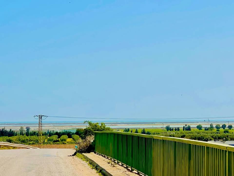 Vente&nbsp;Surfaces - Tunisie