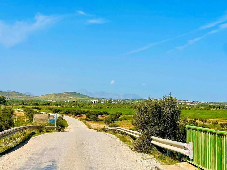 Vente&nbsp;Surfaces - Tunisie