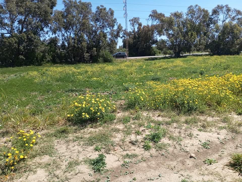 Vente&nbsp;Surfaces - Tunisie