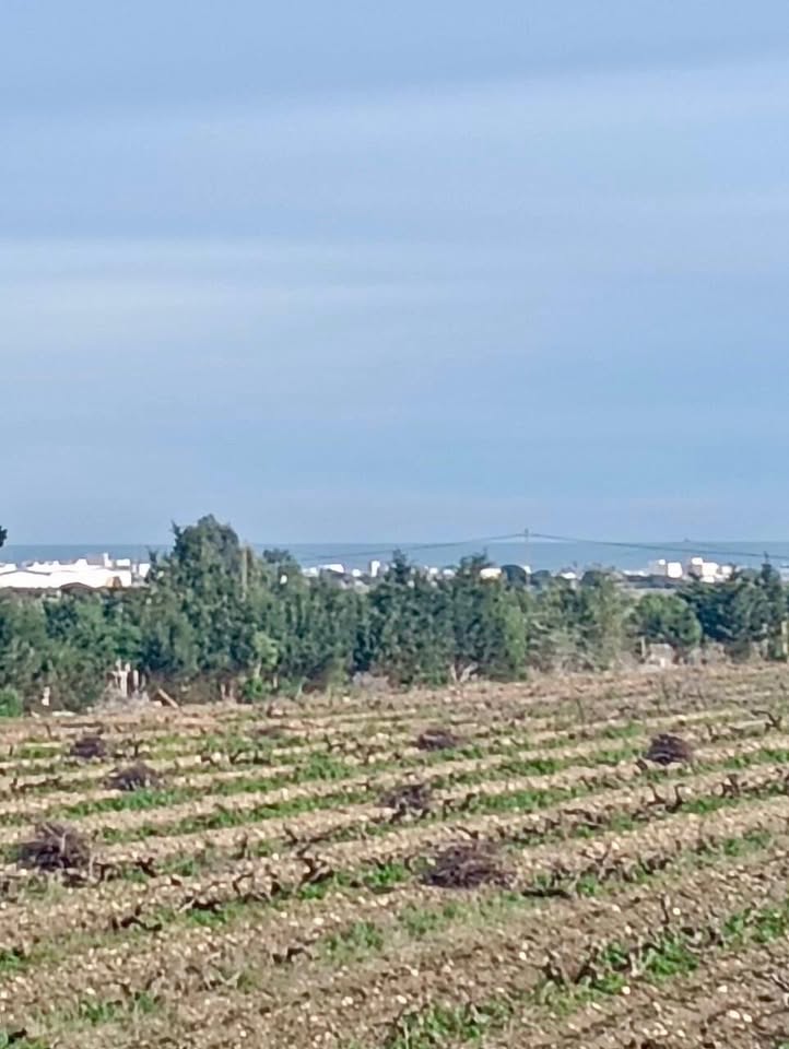 Vente&nbsp;Surfaces - Tunisie