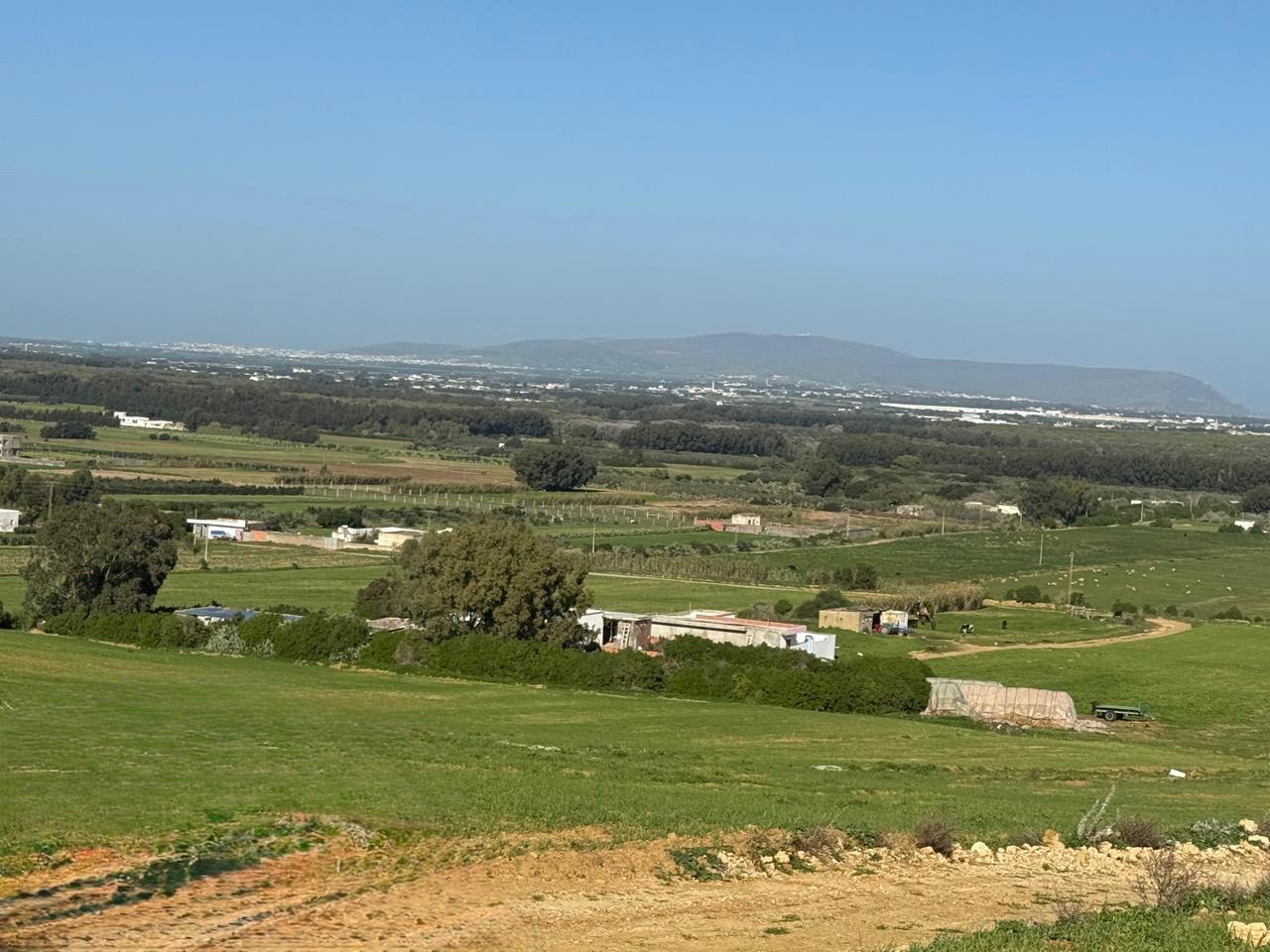 Kelibia&nbsp;Azmour&nbsp;Vente&nbsp;Surfaces&nbsp;Terrain calme id�al villa