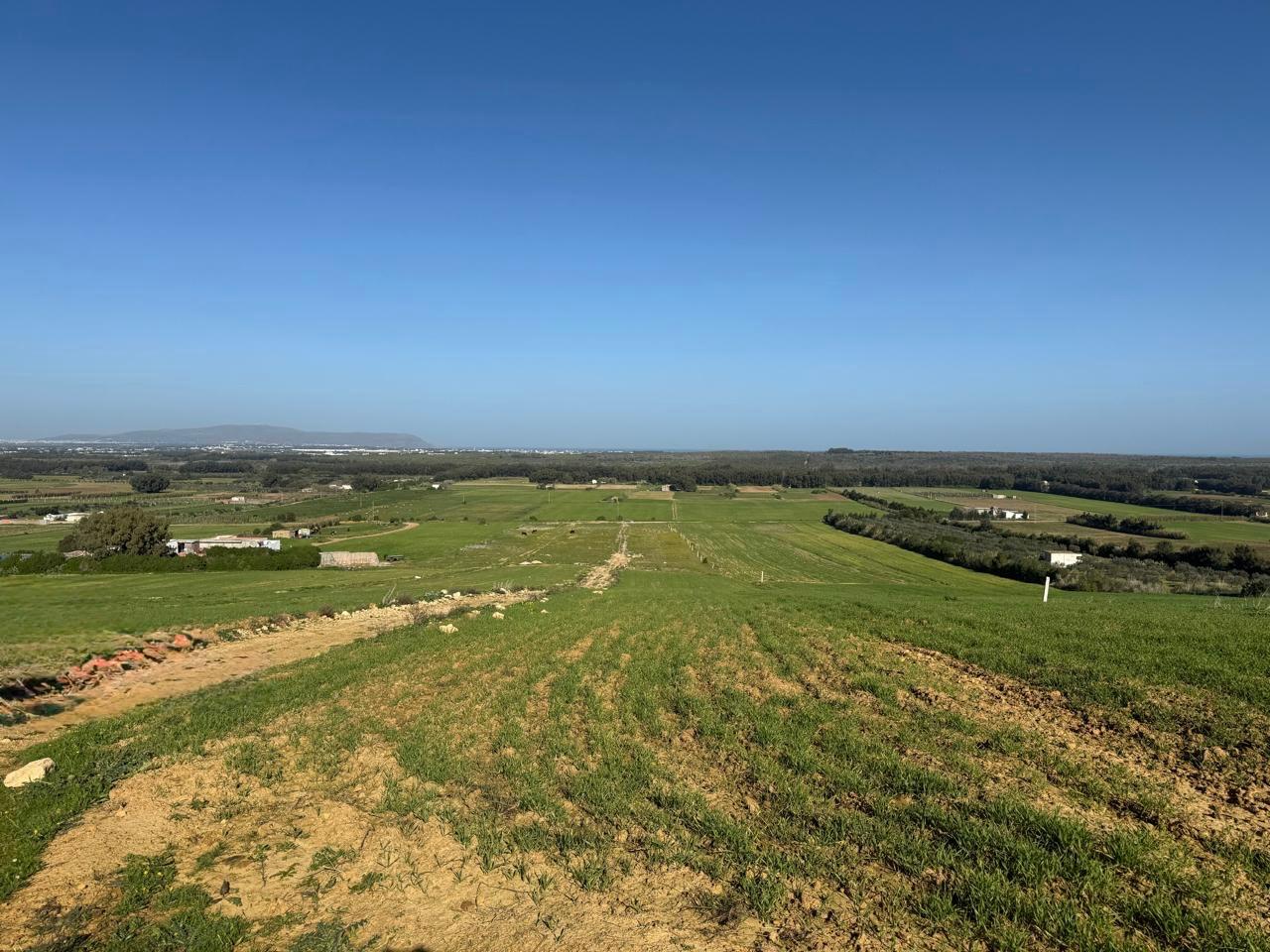 Vente&nbsp;Surfaces - Tunisie