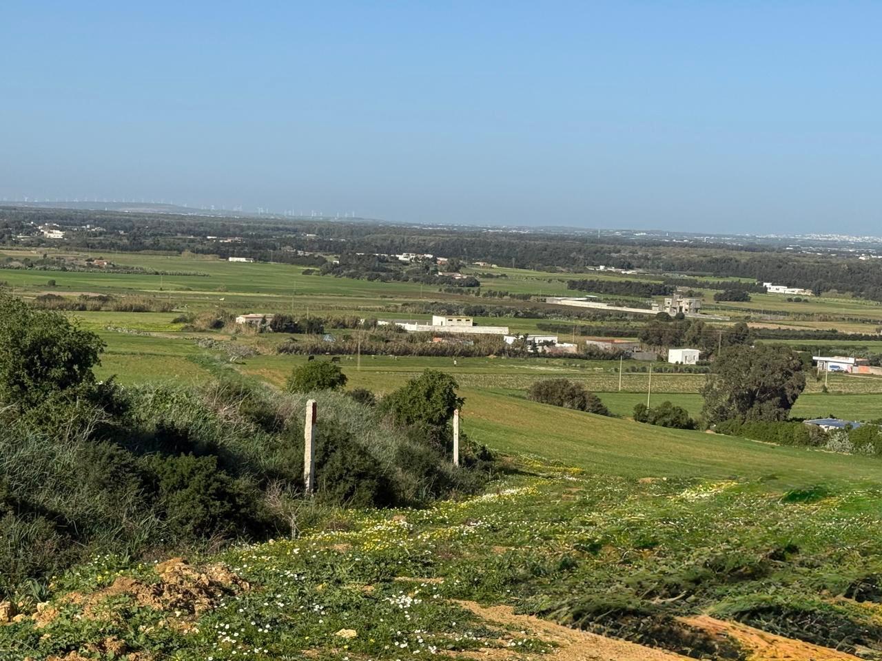 Vente&nbsp;Surfaces - Tunisie