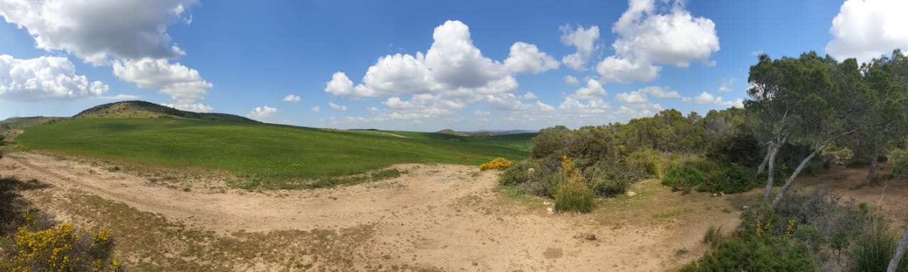 Tebourba&nbsp;El Ansarine&nbsp;Vente&nbsp;Surfaces&nbsp;Terrain agricole