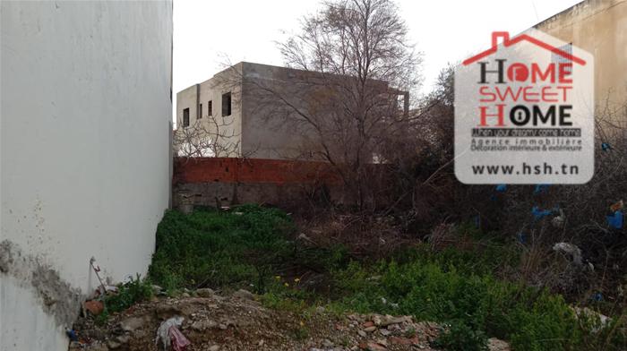 Vente&nbsp;Autre - Tunisie