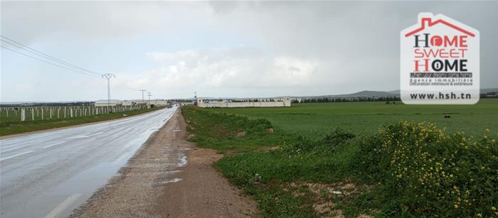 Mornaguia&nbsp;El Fejja&nbsp;Terrain&nbsp;Terrain agricole&nbsp;Terrain agricole fejterra � el fejja mornaguia