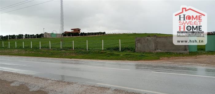 Mornaguia&nbsp;El Fejja&nbsp;Terrain&nbsp;Terrain agricole&nbsp;Terrain agricole fejterra � el fejja mornaguia