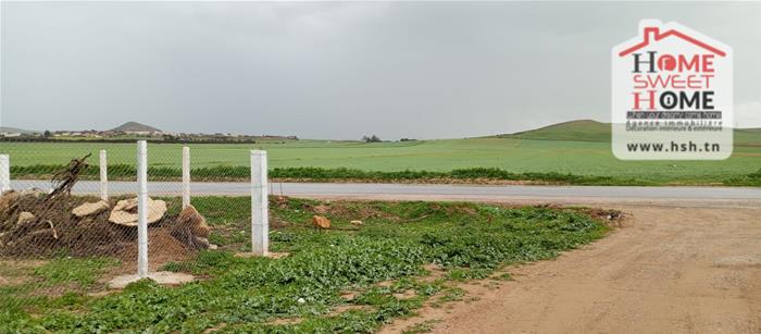 Mornaguia&nbsp;El Fejja&nbsp;Terrain&nbsp;Terrain agricole&nbsp;Terrain agricole fejterra � el fejja mornaguia