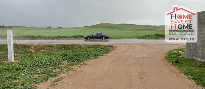 Mornaguia&nbsp;El Fejja&nbsp;Terrain&nbsp;Terrain agricole&nbsp;Terrain agricole fejterra � el fejja mornaguia