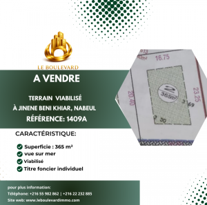 Vente Surfaces - Tunisie