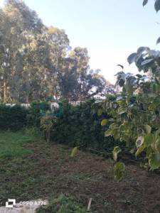 La Soukra&nbsp;La Soukra&nbsp;Location&nbsp;Appart. 1 pi�ce&nbsp;A  un magnifique s2 avec jardin  ref294a