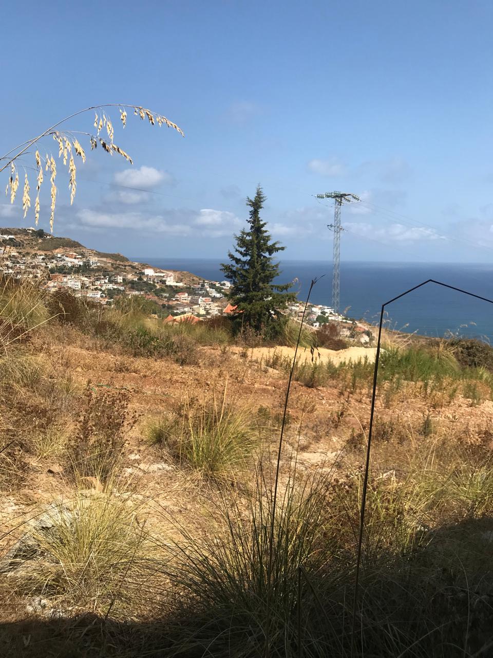 Tabarka&nbsp;Tabarka&nbsp;Vente&nbsp;Maisons&nbsp;Maison inachev�e � tabarka