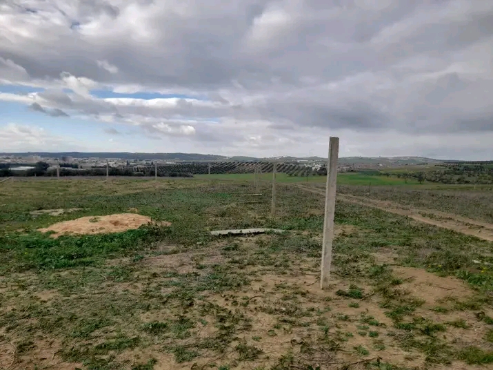 Mornaguia&nbsp;Mornaguia&nbsp;Terrain&nbsp;Terrain nu&nbsp;Terrain magnifique