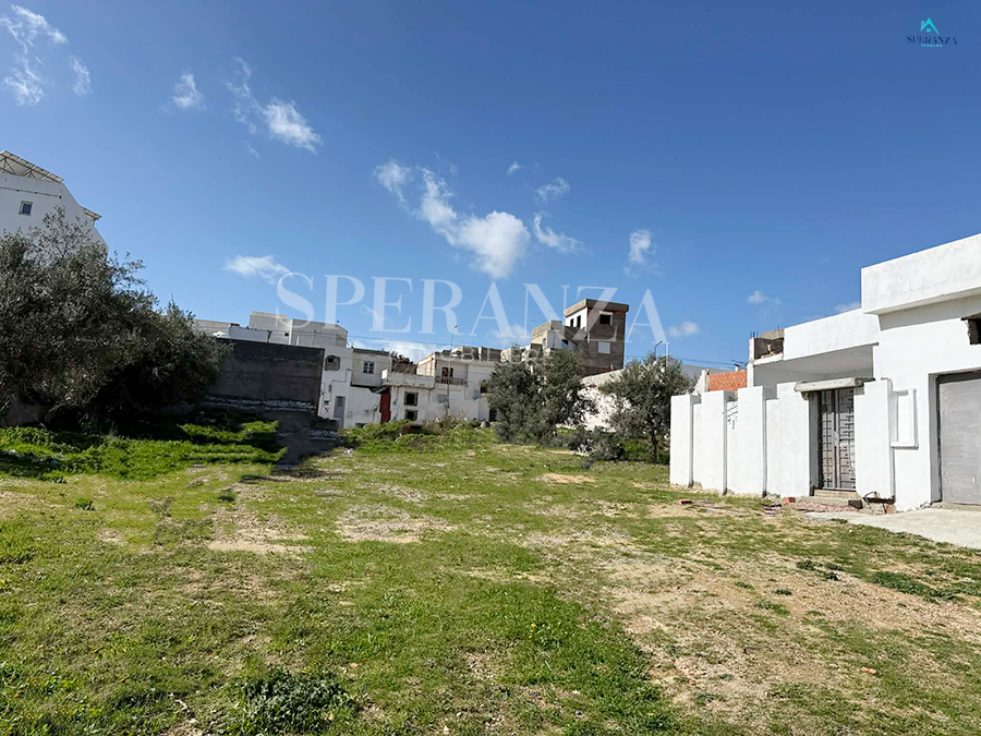 Hammamet&nbsp;Hammamet&nbsp;Vente&nbsp;Surfaces&nbsp;Terrain darej