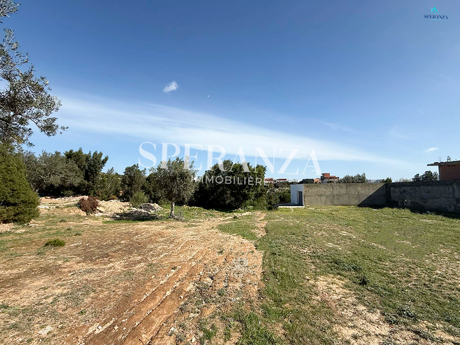 Vente&nbsp;Surfaces - Tunisie