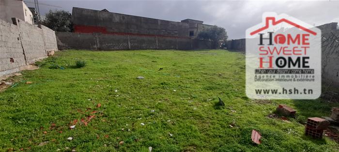 Vente&nbsp;Surfaces - Tunisie