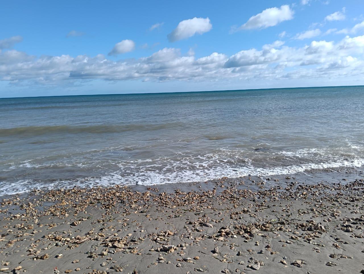 Hammam El Ghezaz&nbsp;Ezzahra&nbsp;Vente&nbsp;Autre&nbsp;Bien immobilier id�alement situ� � kerkouane